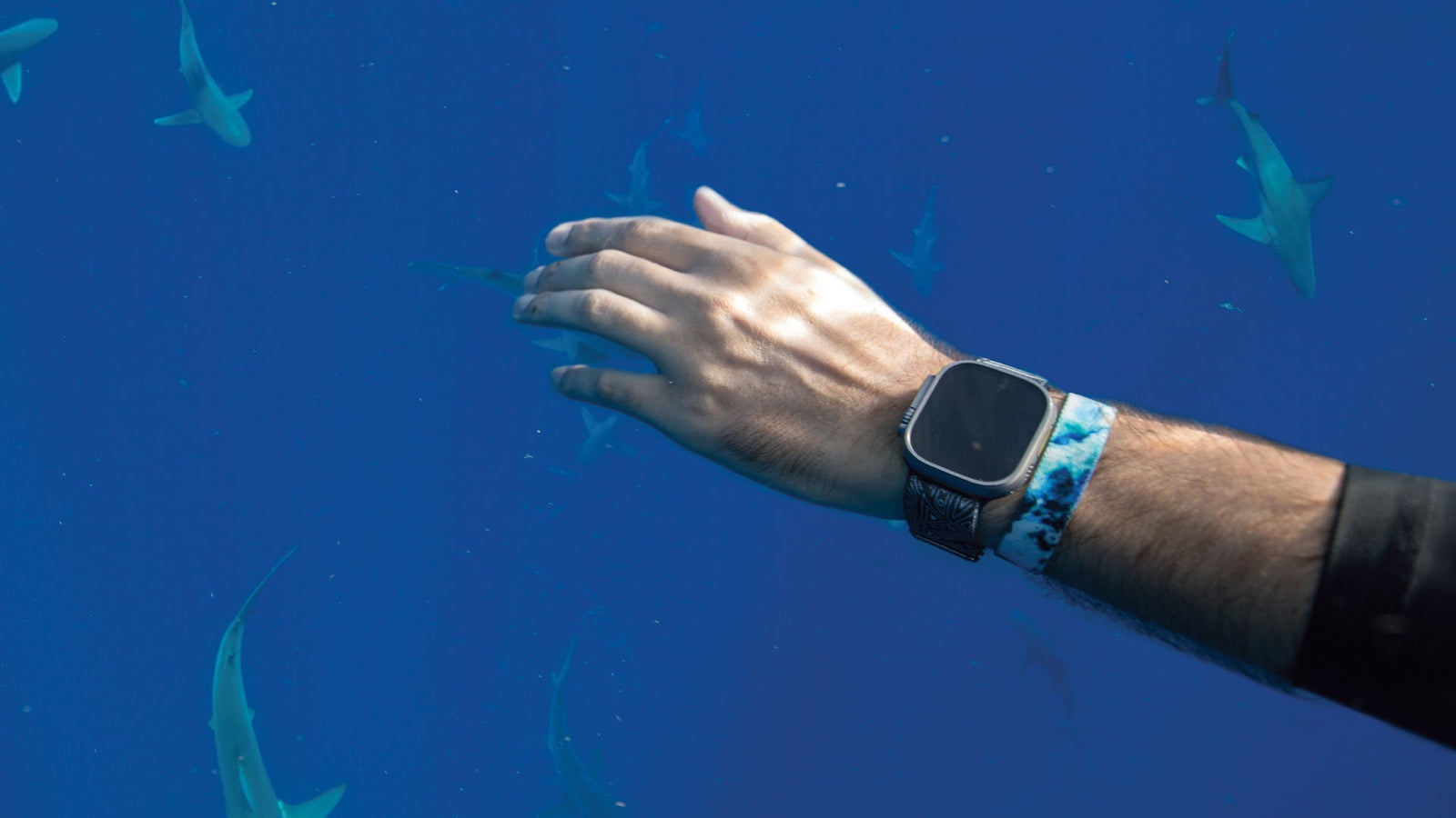 Apple Watch Band underwater with sharks. 