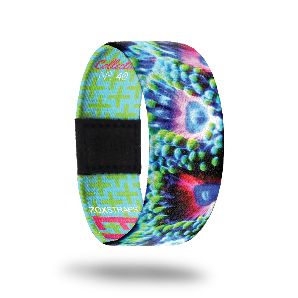 Eagle Eye-Sold Out-ZOX - This item is sold out and will not be restocked.