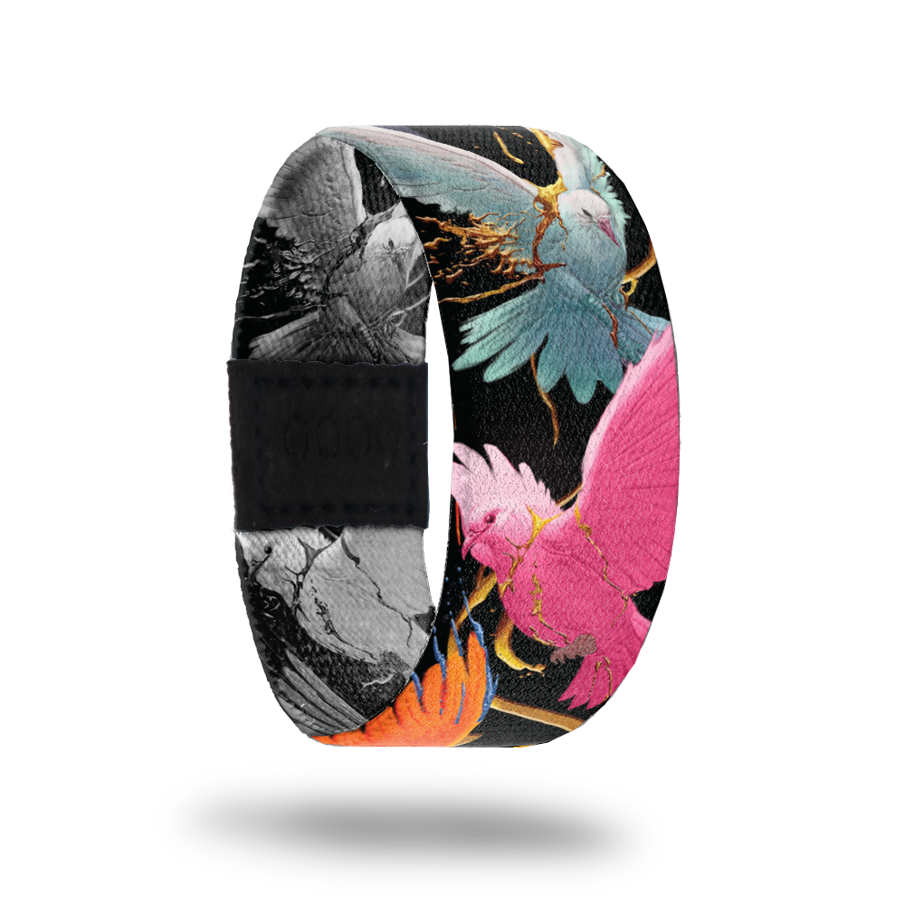 Outside Design of Excelsior: black background with bright colored birds and branches