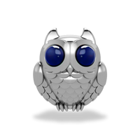 This is a charm that fits ZOX single wristbands, lanyards and hoodie strings only. It is made from stainless steel and is silver in color. The design is a sitting owl with big dark blue eyes.