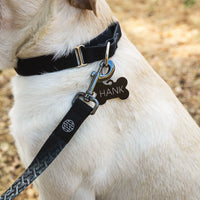 Rescued Leash