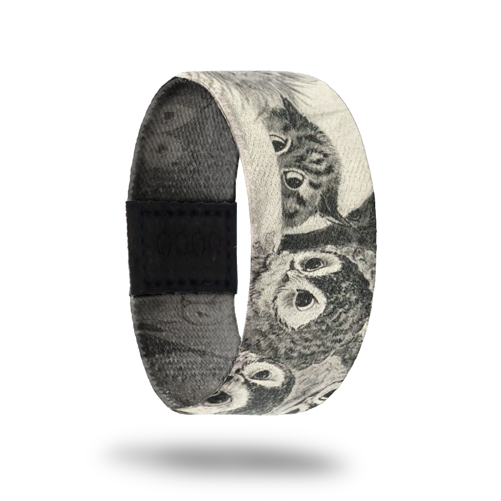 Scaredy-Cat-Sold Out-ZOX - This item is sold out and will not be restocked.