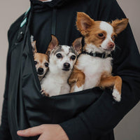lifestyle photo showing three small and happy dogs inside of the dog carrier being carried by a man