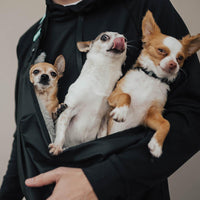 lifestyle photo showing three small and happy dogs inside of the dog carrier being carried by a man