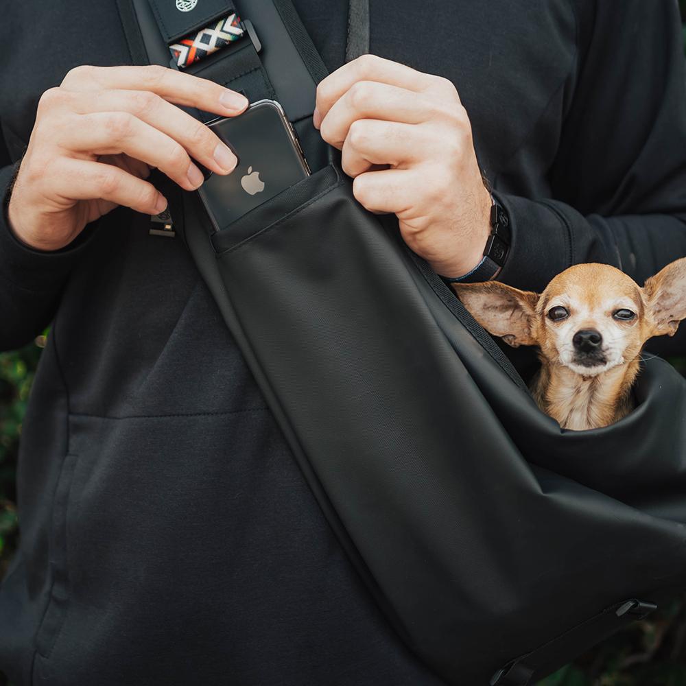 Putting a phone into the phone pocket of the dog holder with a little dog sticking his head out