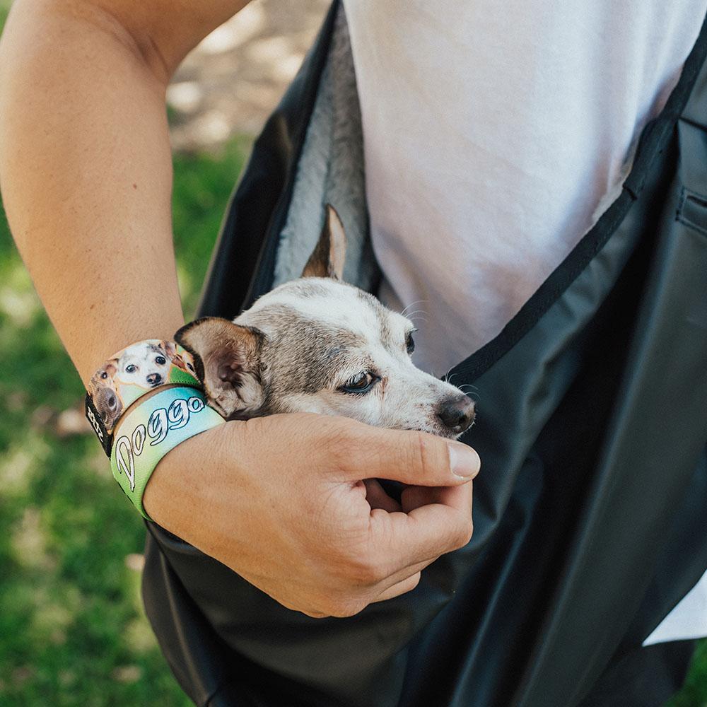 Lifestyle image of white and light brown chihuahua in Doggo carrying bag and arm cradling head of the dog has 2 doggo straps on wrist
